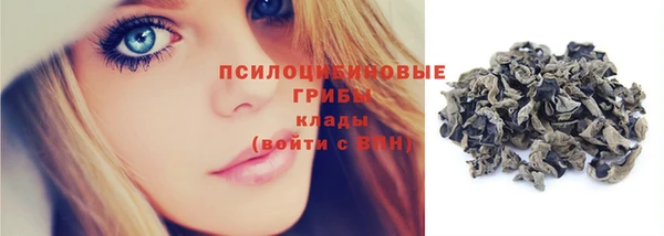 крисы Балахна
