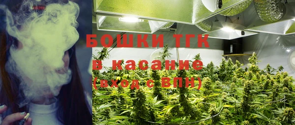каннабис Белокуриха